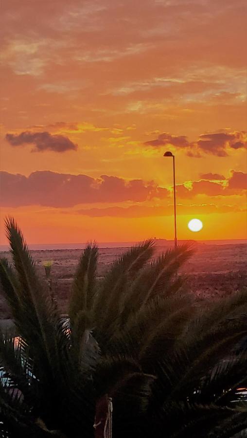 Casa Leon Fuerteventura Daire Corralejo Dış mekan fotoğraf